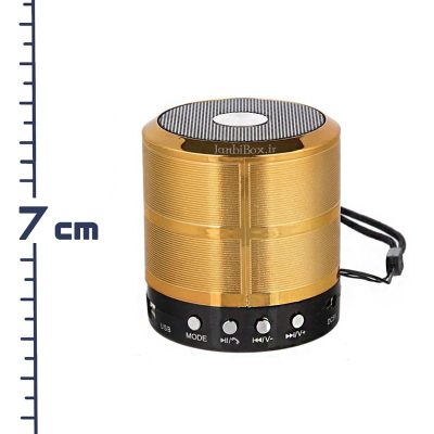 اسپیکر بلوتوثی کوچک WS-887 پخش کننده قابل حمل